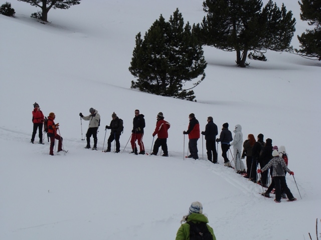 Einführung in das Schneeschuhwandern 
